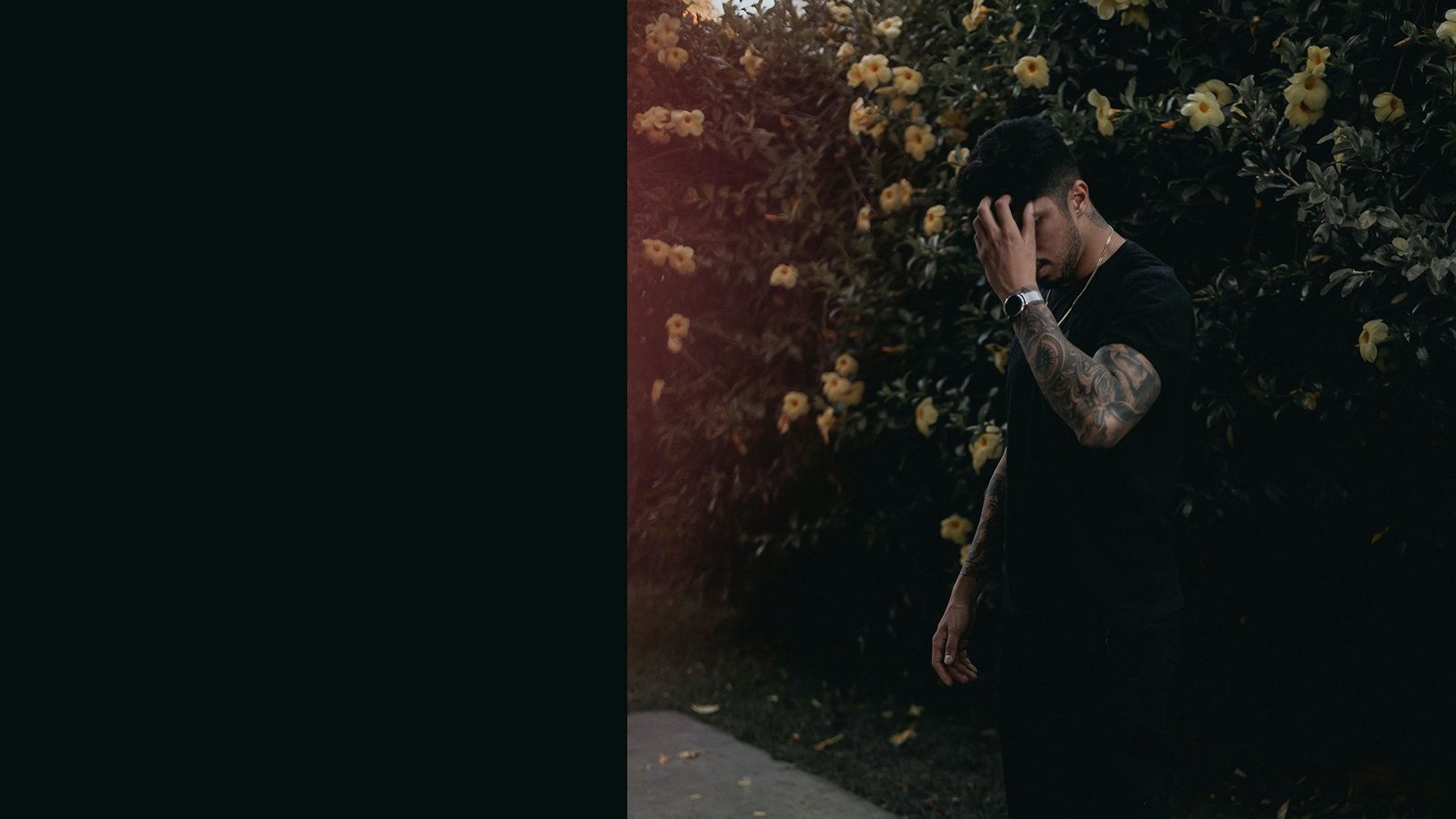 Image Slider